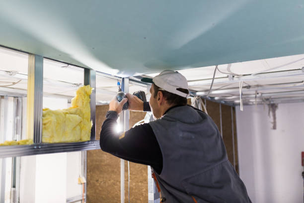 Best Insulation Repair Services  in Bethlehem, PA